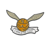 Pin pelota quidditch Harry Potter