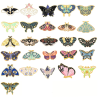 Pin Mariposa Celeste Fase Lunar Broche Metálico Soft Pins